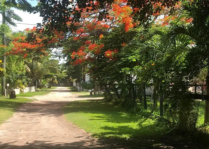 Belize Budget