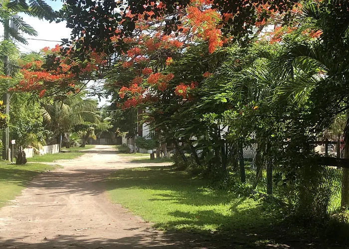Belize Budget 2* San Pedro (Ambergris Caye)