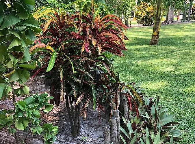 Belize Budget Hotel